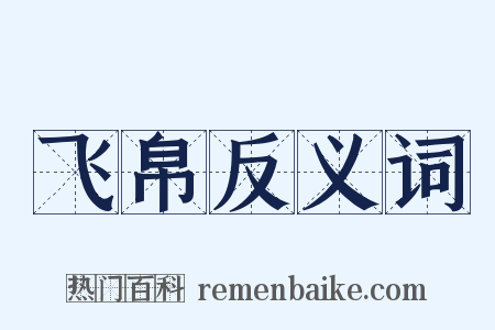 飞帛反义词是什么意思的图片
